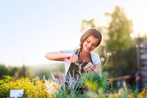 Photographic image representing ethical gardening practices at Gardening Services Blackfriars