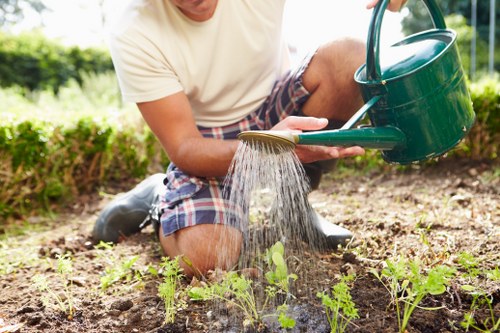 Chipped wood mulch ready for reuse in urban gardens