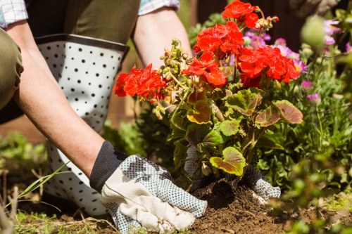 Lush green garden enhancing property value