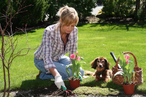 Team performing routine garden maintenance in a shared courtyard